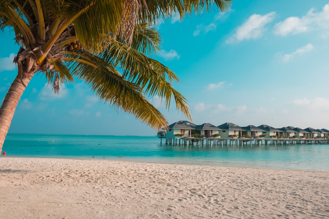 Unleash Your Wanderlust with Tailored Travel Packages Today